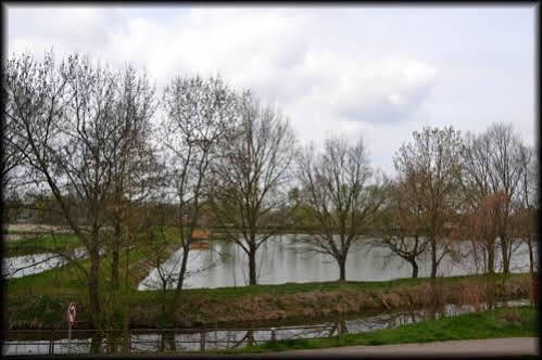Penzion U Kohoutka Pardubice Exteriör bild